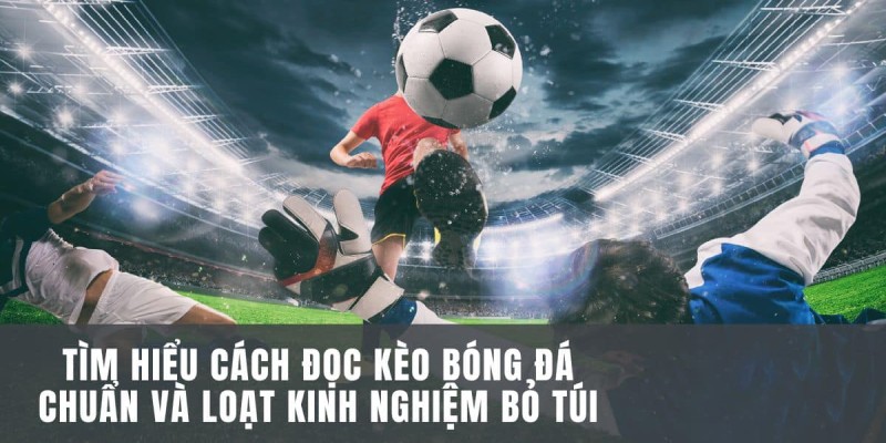 cách đọc kèo bóng đá cho người mới chơi